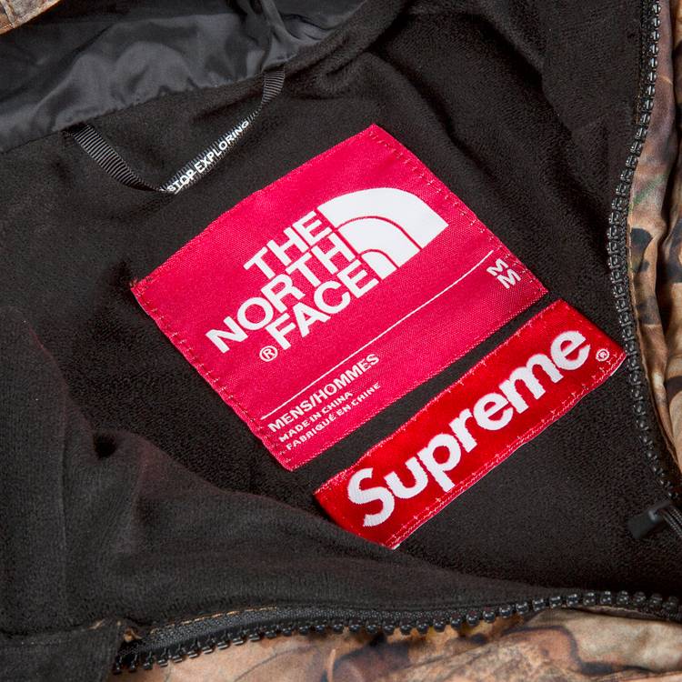 Supreme The North Face Mountain Light Jacket Leaves