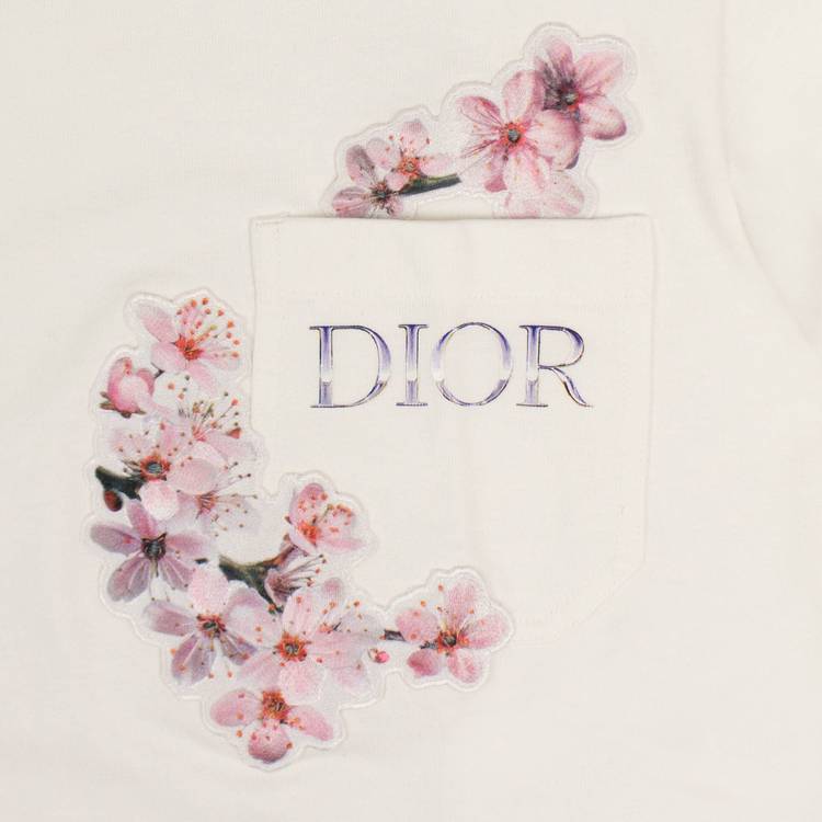Dior X Sorayama Dinosaur Tshirt White  Deal Hub
