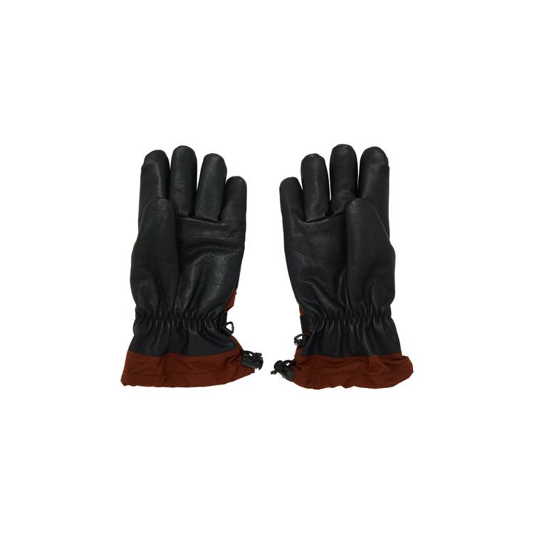 Supreme x The North Face Steep Tech Gloves 'Brown'