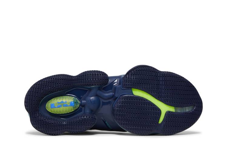 Nike LeBron 19 Tropical Men's Size 10 Dutch Blue Lime Glow DC9341-400  195242109410,  in 2023