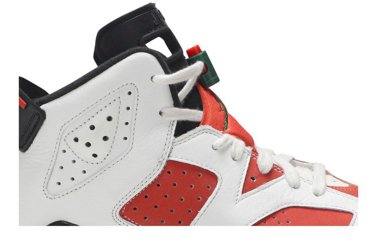 jordan 6 gatorade goat
