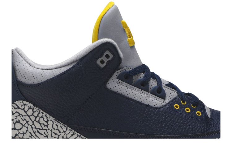 Michigan clearance jordan 3