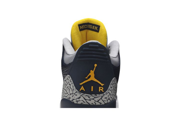 Michigan best sale jordan 3