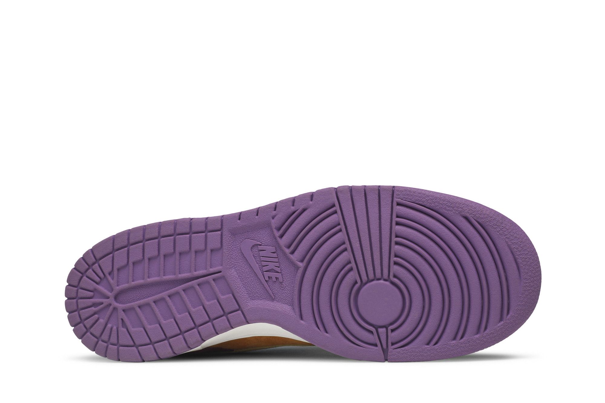 NIKE NIKE DUNK LOW PRO B 'VIOTECH'