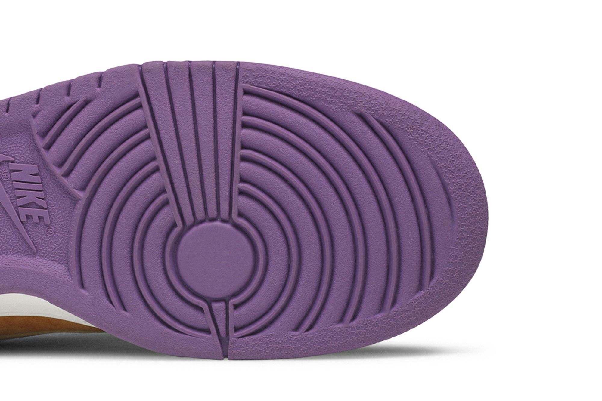 NIKE NIKE DUNK LOW PRO B 'VIOTECH'