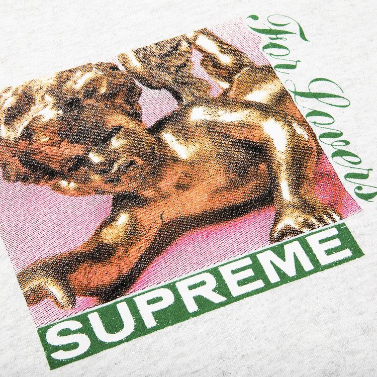 Buy Supreme Lovers Tee 'Ash Grey' - FW20T7 ASH GREY | GOAT