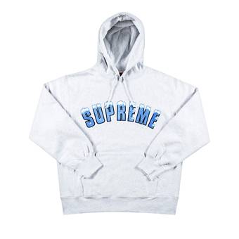 Supreme Icy Arc Hooded Sweatshirt 'Ash Grey'