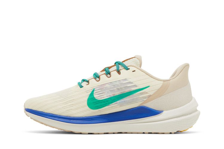 Buy Nike Air Winflo 9 Premium  display picture 1