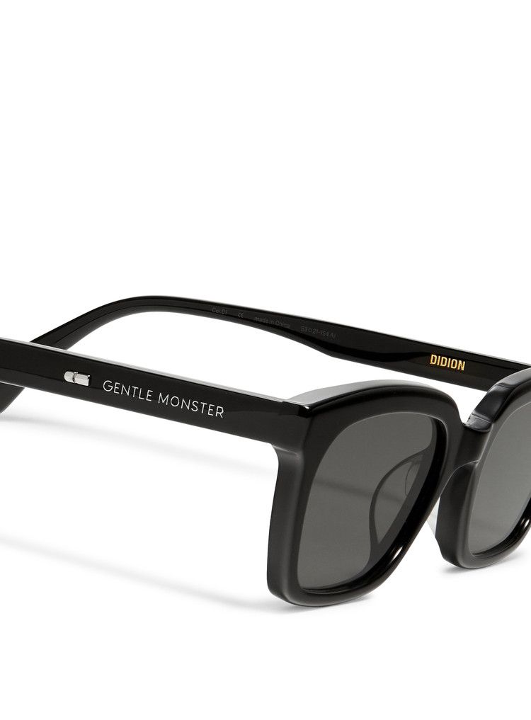 Buy Gentle Monster Didion 01 Tinted Sunglasses 'Black