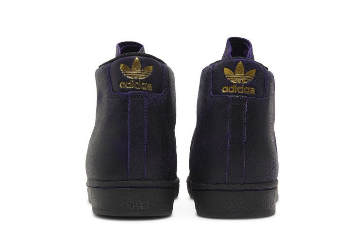 Kader Sylla X Adidas Pro Model Adv Black Dark Purple