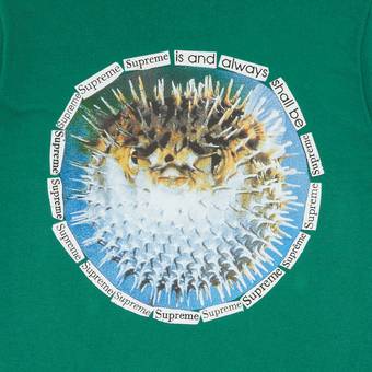 Supreme Blowfish Tee 'Light Pine'