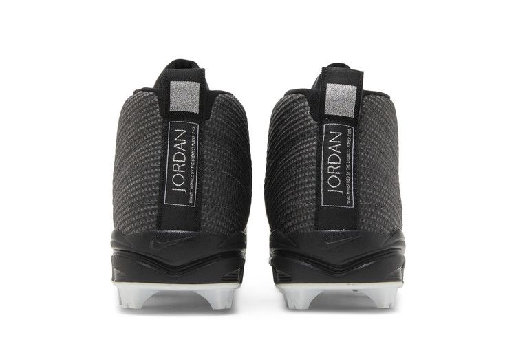 Air Jordan 12 RETRO Mcs