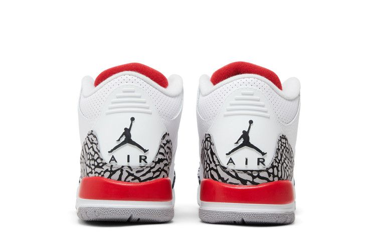 Sneaker Politics X Air Jordan 3 RETRO Gs Hall Of Fame
