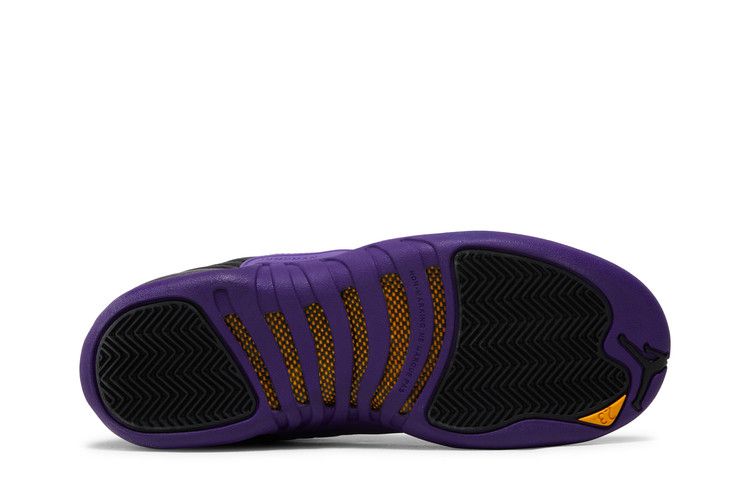 Air Jordan 12 RETRO Gs Field Purple