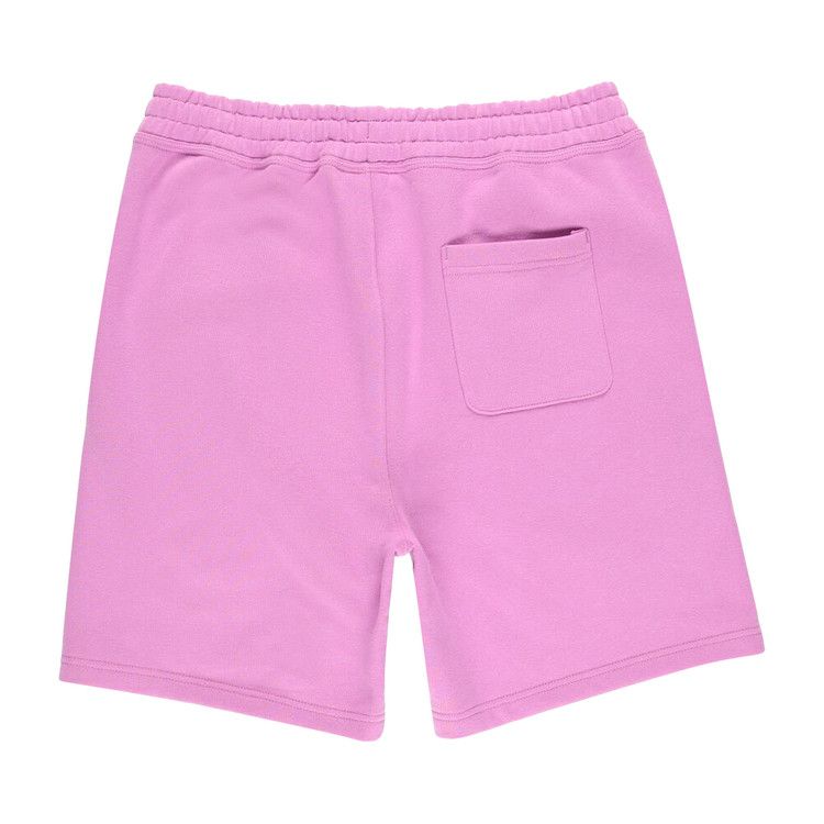 Stussy Stock Logo Shorts Violet