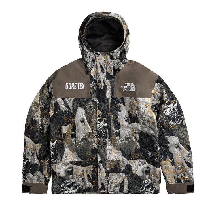 Buy The North Face GTX Mountain Jacket 'Falcon Brown Conrads Notes
