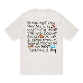 Buy Stussy Heal The Bay Summit To Sea Tee 'Natural