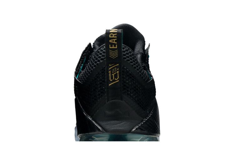 lebron 12 low carbon fiber