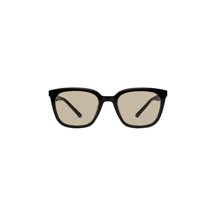 Buy Gentle Monster Pino 01 Br Sunglasses 'Black' - PINO 01 BR BLAC