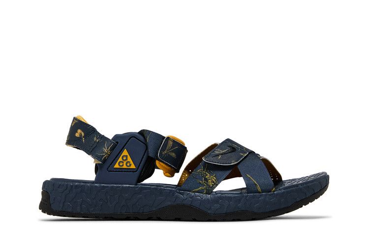 Buy ACG Air Deschutz+ SE 'Thunder Blue' - DR1020 400 | GOAT