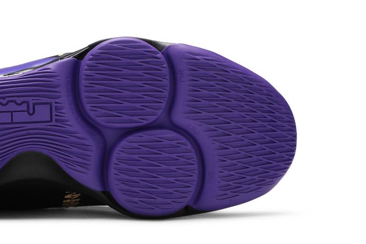 Lebron Witness 5 Fierce Purple Metallic Gold