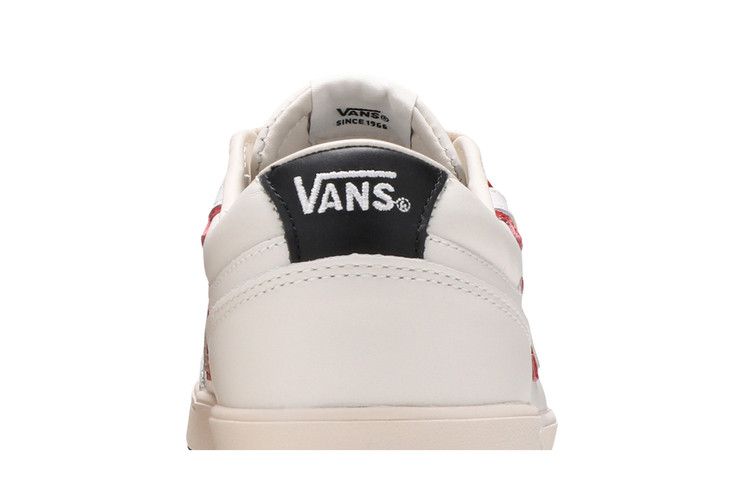 Vans Lowland Cc Flame