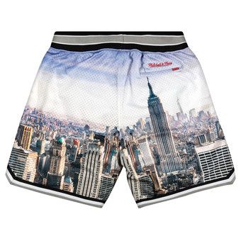 Buy Supreme x Mitchel And Ness Basketball Short 'Skyline