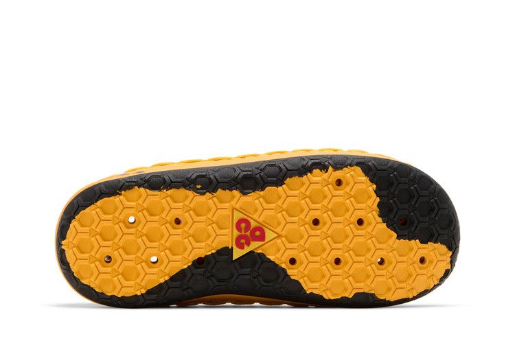 Acg Watercat+ University Gold
