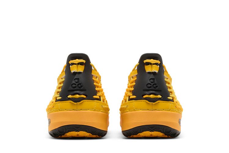 Acg Watercat+ University Gold