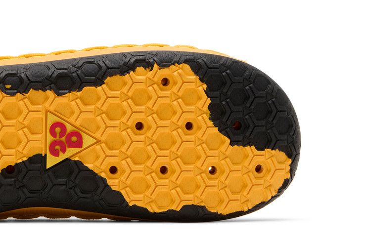 Acg Watercat+ University Gold