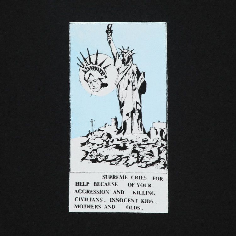 Supreme Liberty Tee 新品 Buy Supreme Liberty Tee 'Black' - FW24T22 BLACK | GOAT