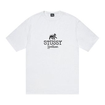 Buy Stussy Sportswear Tee 'White' - 1905034 WHIT | GOAT