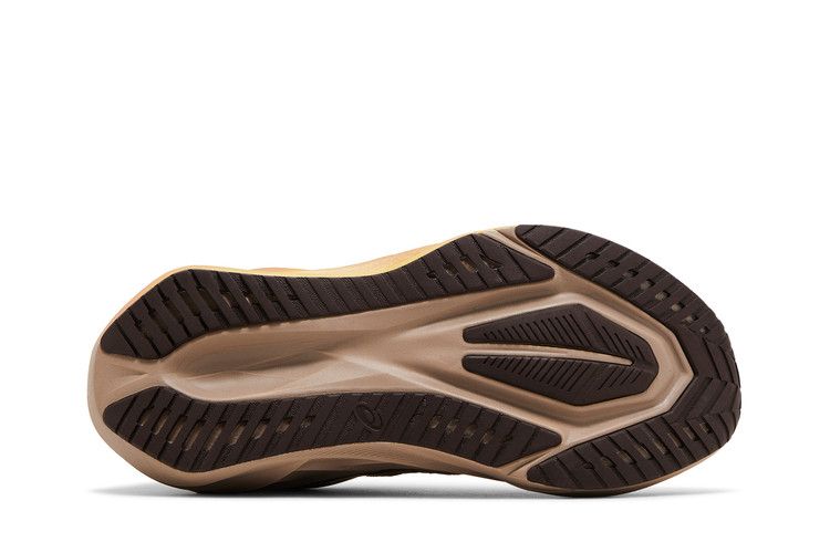 Asics Wmns Novablast 5 'Luxe'