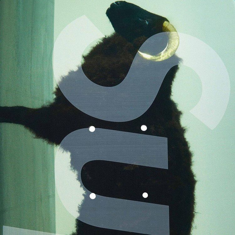 Buy Supreme x Damien Hirst Sheep Skateboard 'Multicolor' - SS25SB2