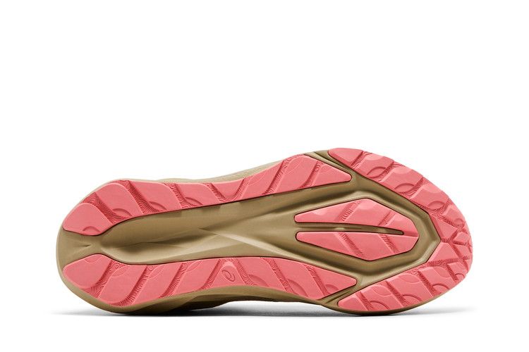 Asics Wmns Novablast 5 TR 'Nature Bathing'