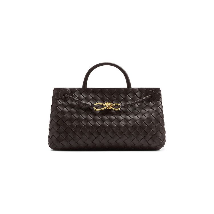 Bottega Veneta East-West Andiamo Bag 'fondant'