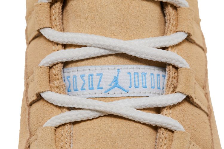 Air Jordan 11 RETRO H-Town
