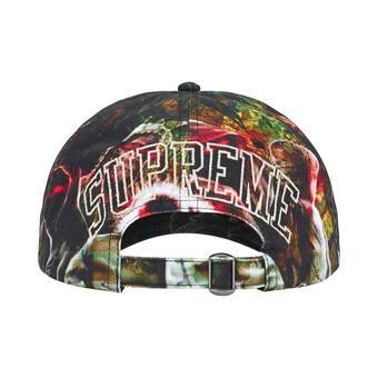 Buy Supreme Shadows 6-Panel 'Multicolor' - SS26H123 MULTICOLOR | GOAT
