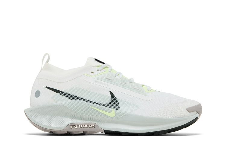 Buy Nike Pegasus Trail 5 GORE-TEX 'Light Silver Sequoia' - FQ0908
