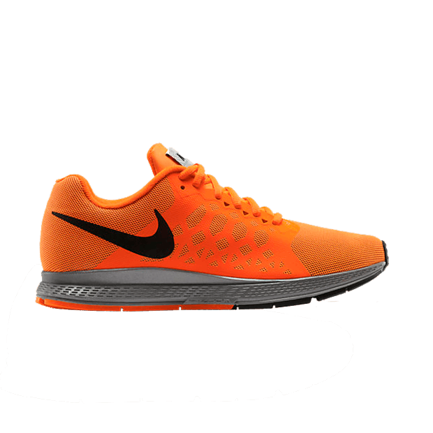 Air Zoom Pegasus 31 Flash