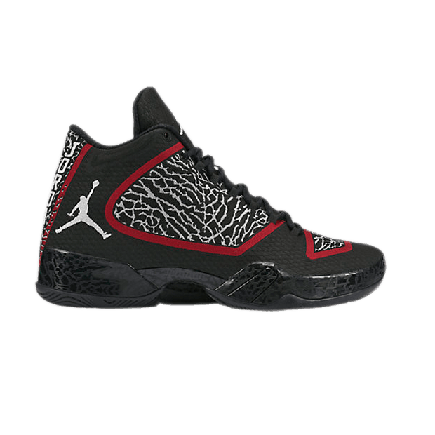 Buy Air Jordan 29 Photo Reel 695515 806 GOAT