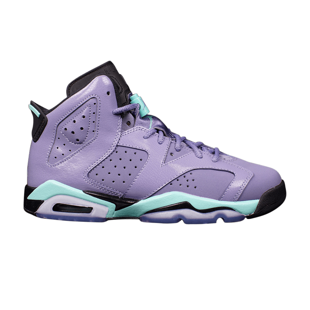 Air Jordan 6 Retro GG 'Iron Purple'