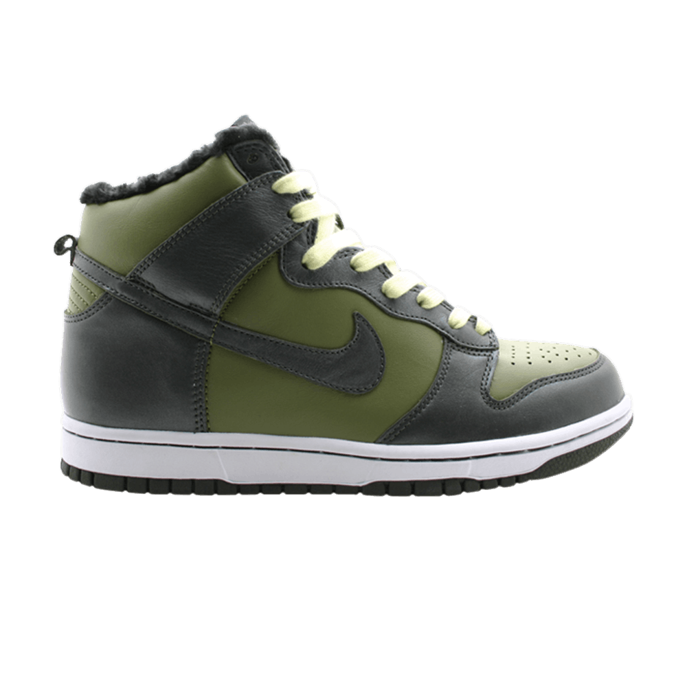 Wmns Dunk Hi