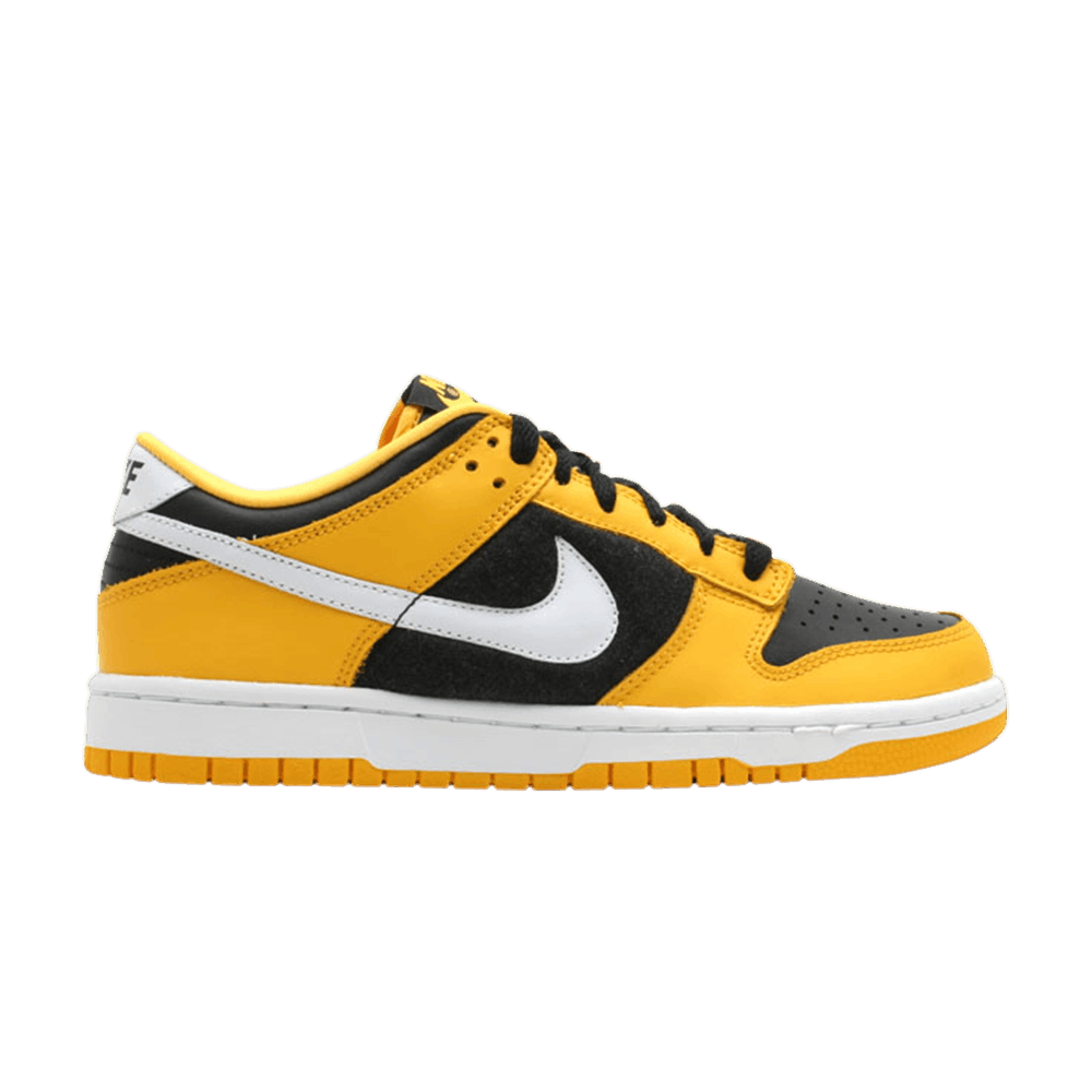 Dunk Low GS