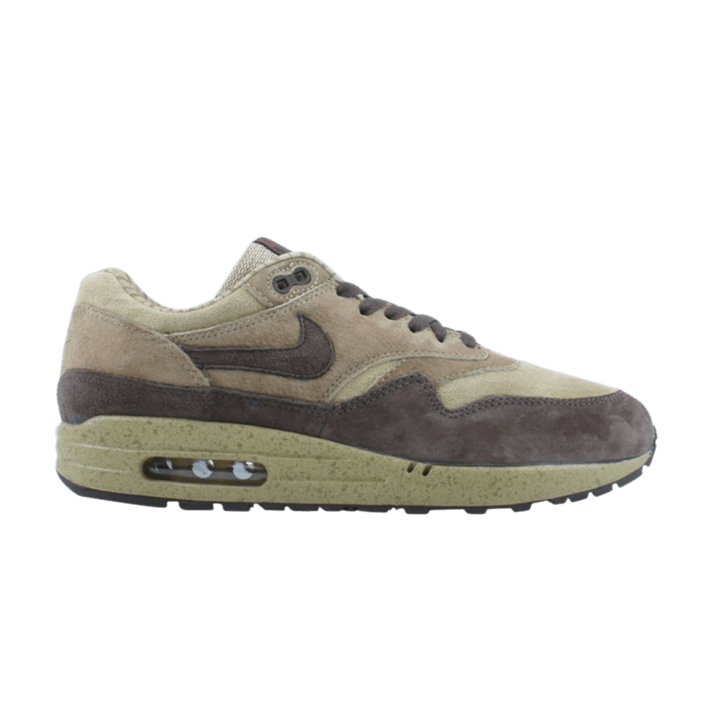 Air Max 1 'Shima Shima'