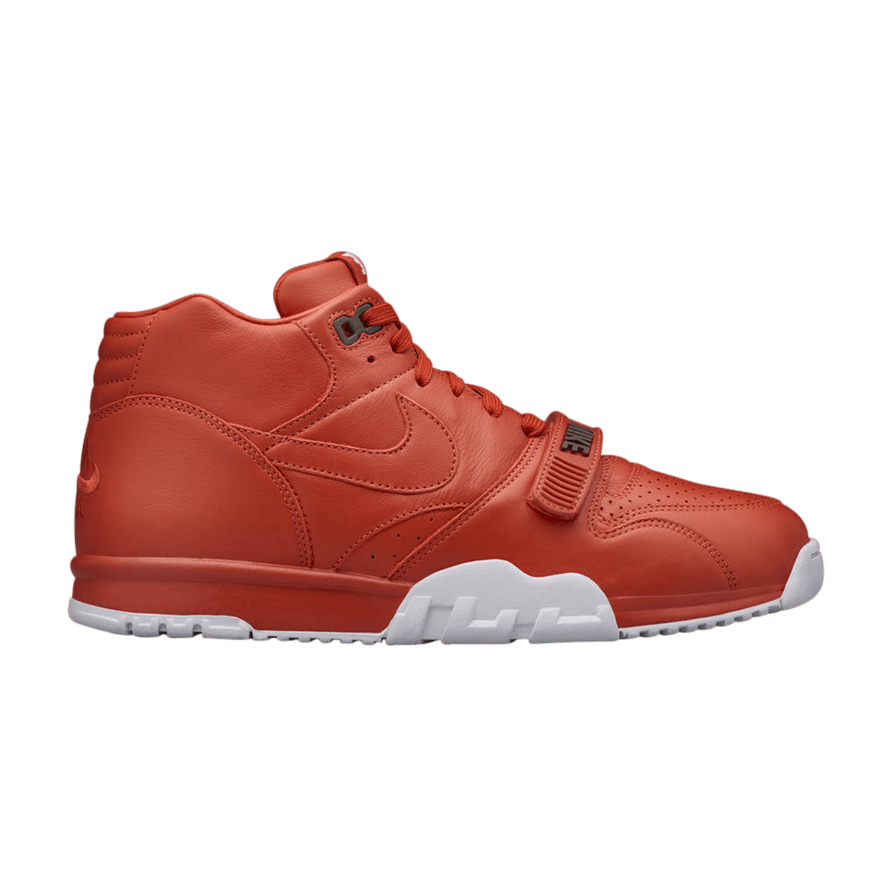 Fragment Design x Air Trainer 1 Mid SP 'Rust'