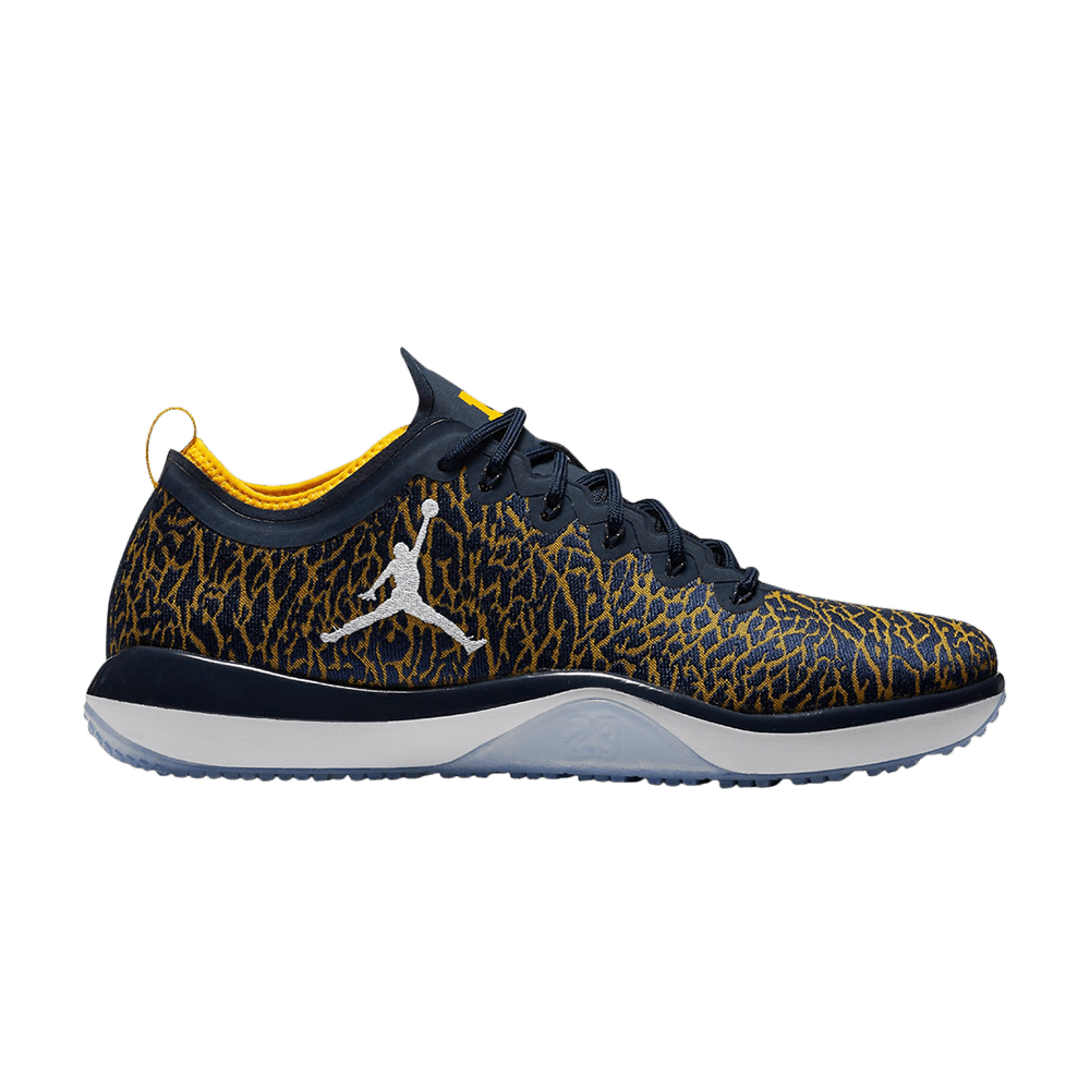 Jordan Trainer 1 Low 'Michigan'