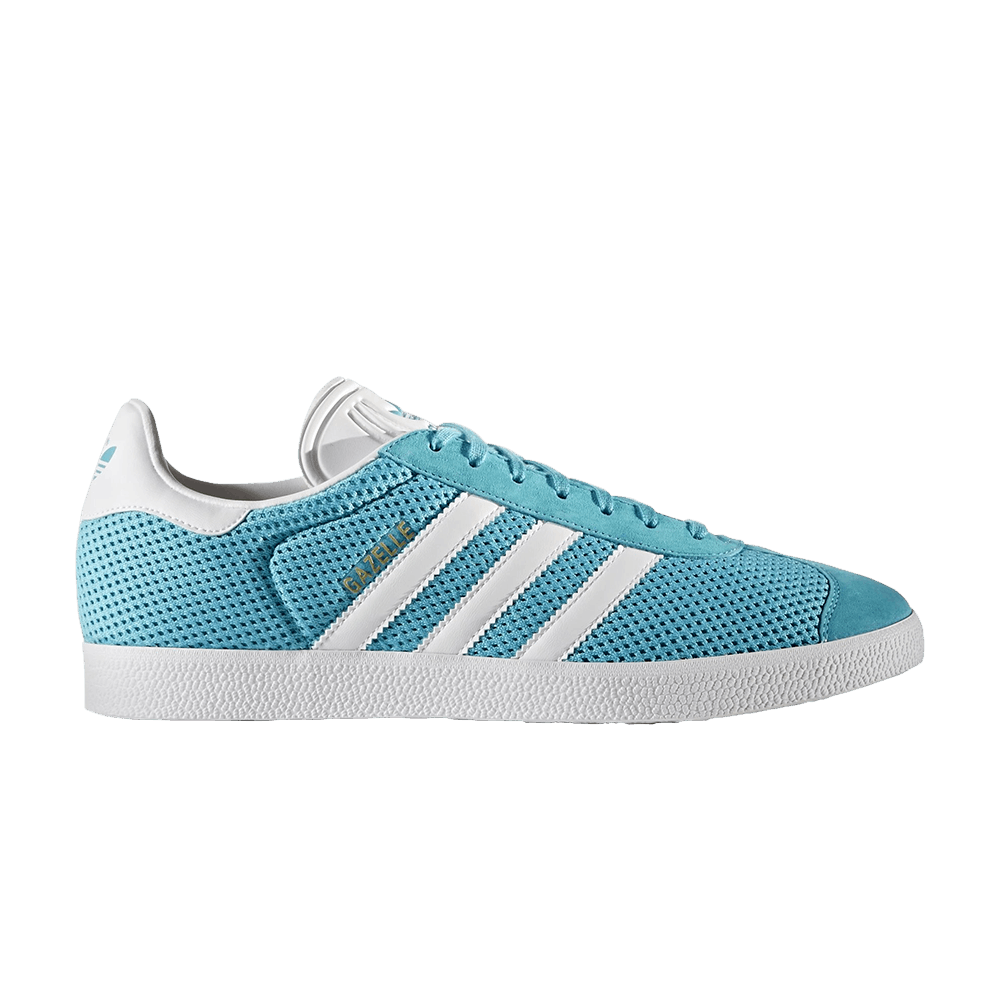 Gazelle 'Energy Blue'