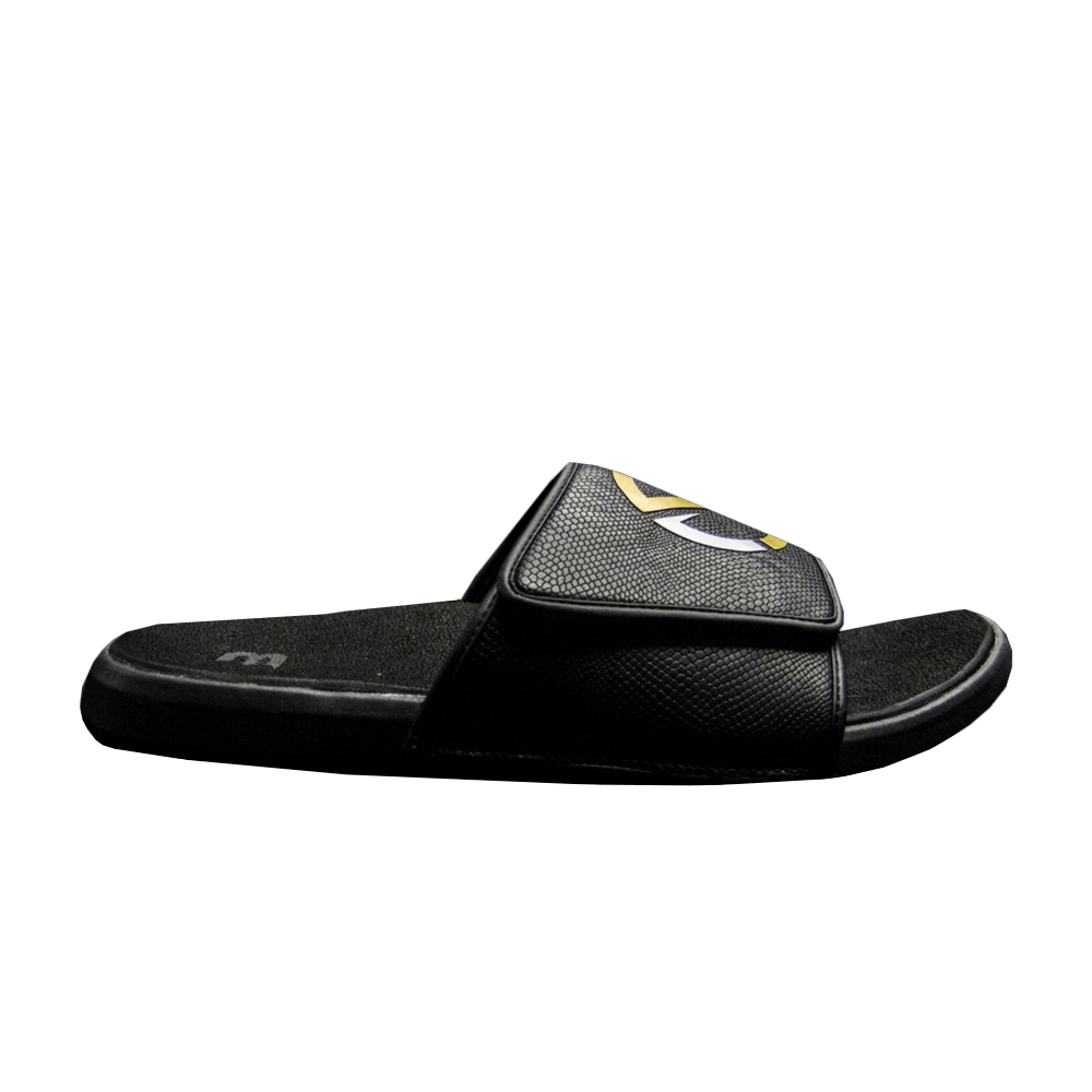 ZO2 Signature Slide