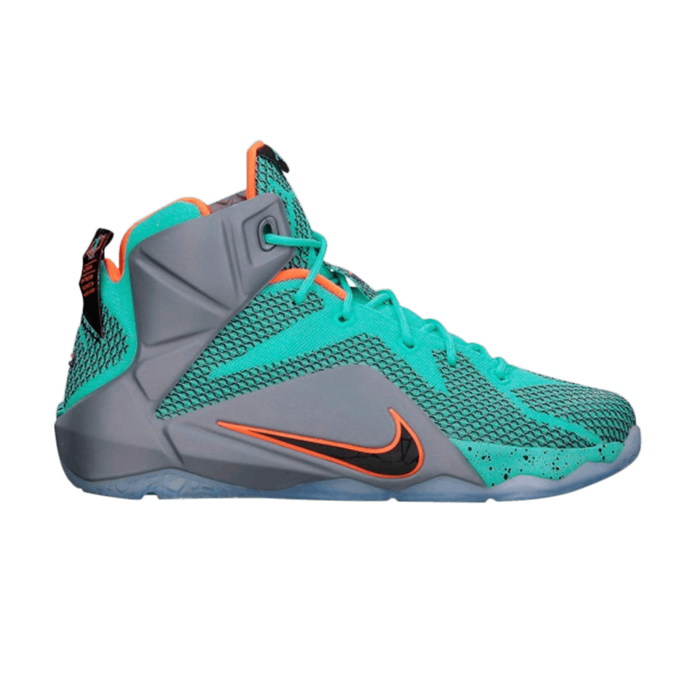 LeBron 12 GS 'NSRL'